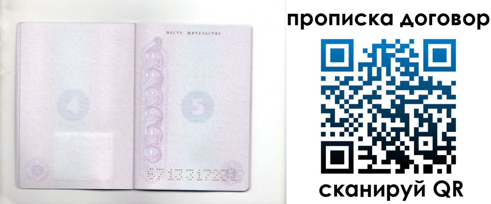 купить прописку в Сельцо